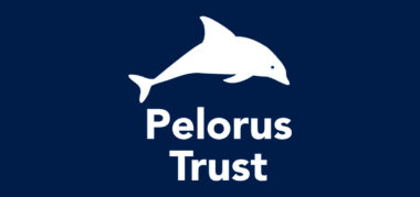 pelorus-nvl22